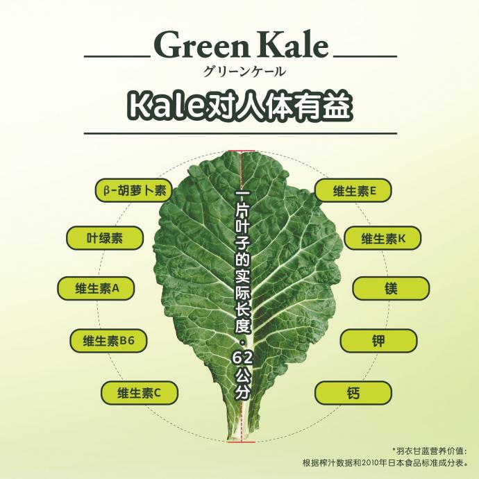 This image has an empty alt attribute; its file name is 600x600-R5-04.jpg