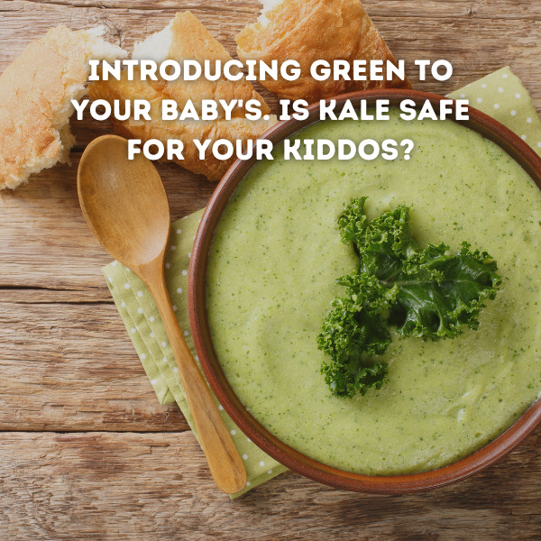 Is Kale Safe For Your Baby? Potential Kale Benefits For Your Baby